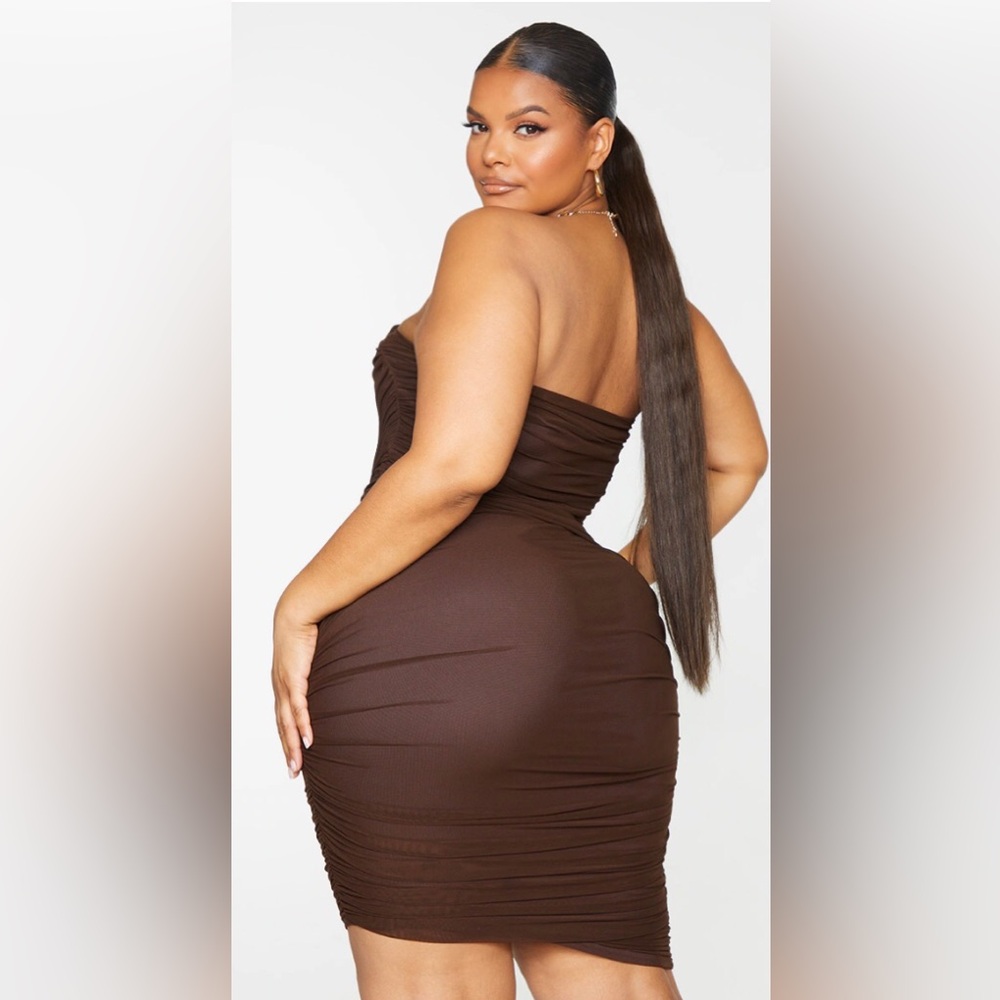 NWT chocolate layered mesh ruched dress